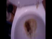 full toilet slave harvesting femdom Mothers load 